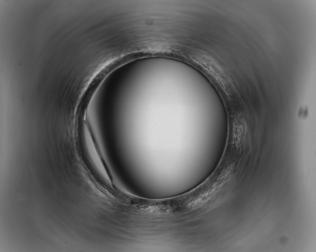 X0000098220584200805011236