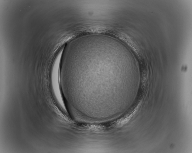 X0000098220585200805011236