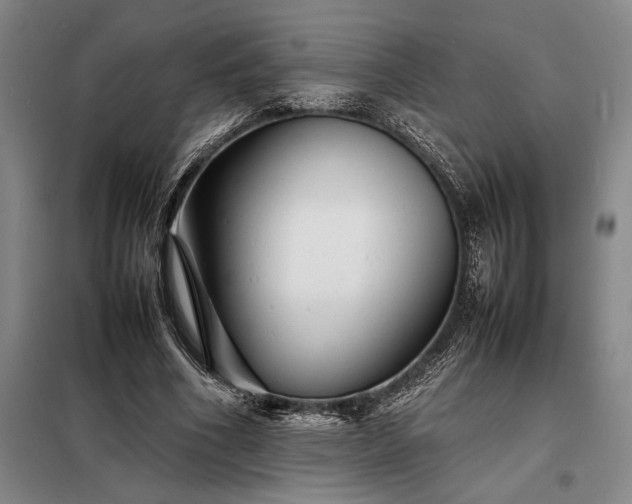 X0000098220586200805011236