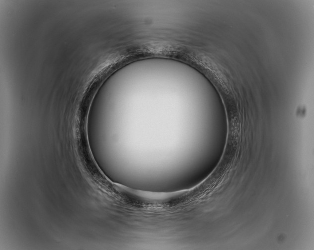 X0000098220587200805011236