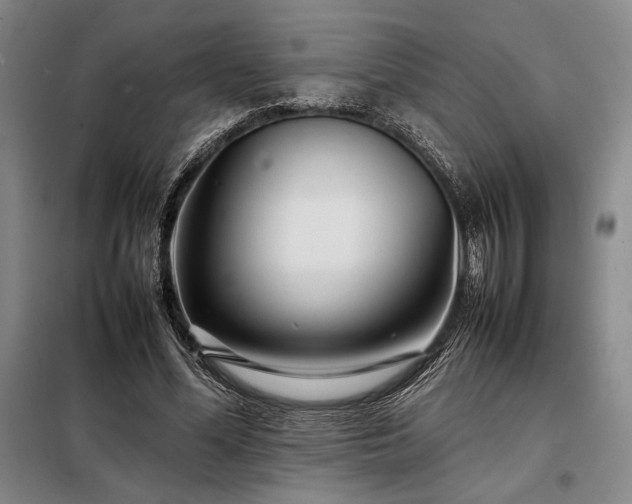 X0000098220588200805011236