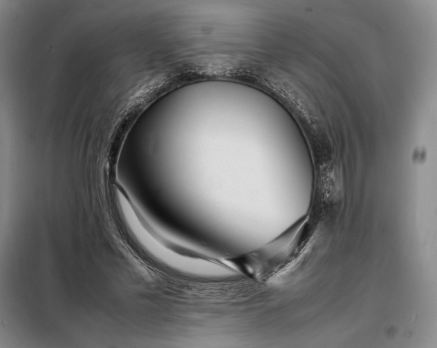 X0000098220589200805011236