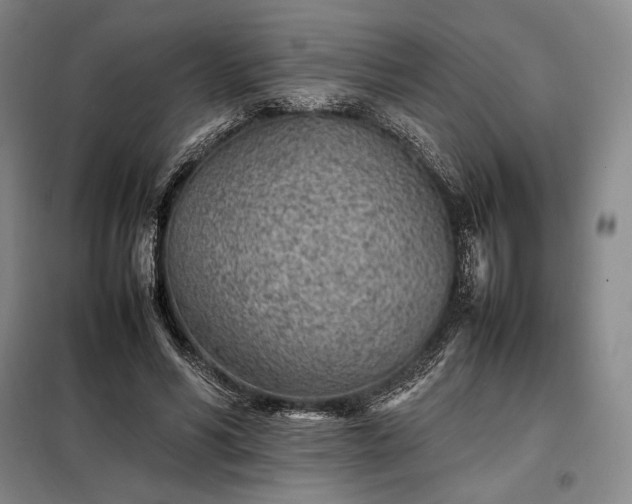 X0000098220590200805011236