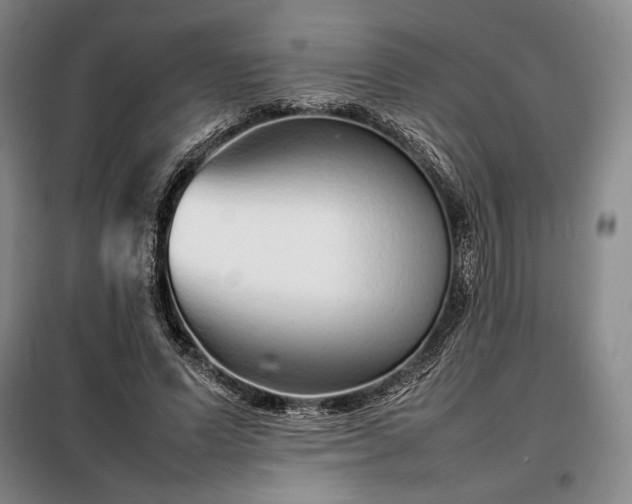 X0000098220591200805011236