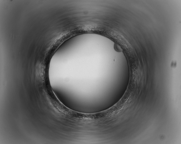 X0000098220592200805011236