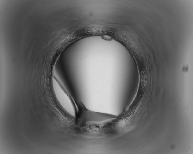 X0000098220593200805011236