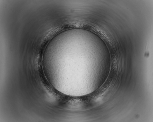 X0000098220594200805011236