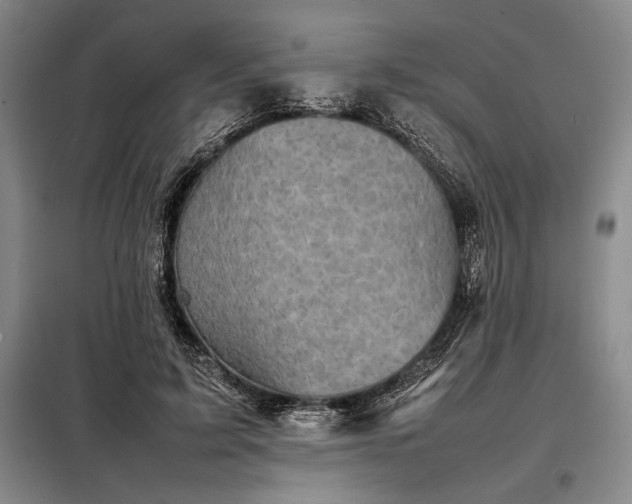 X0000098220595200805011236