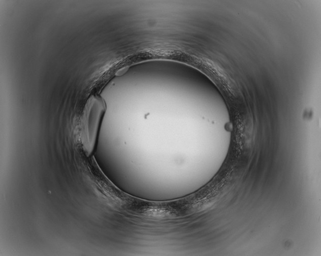 X0000098220596200805011236