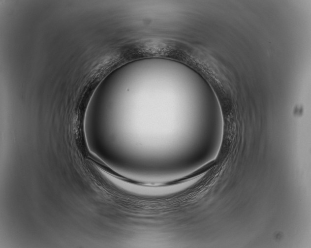 X0000098220597200805011236