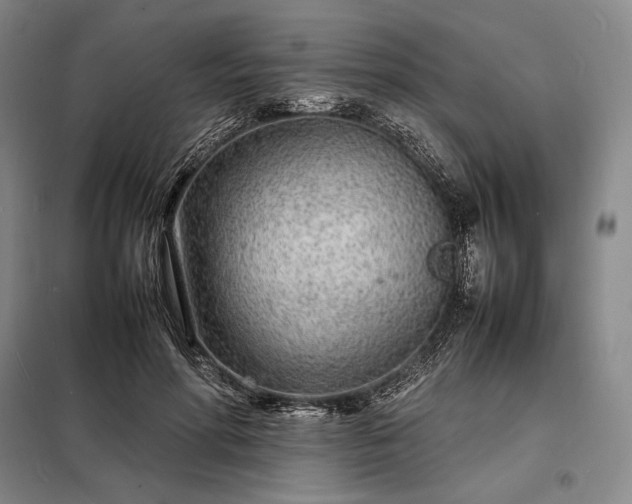 X0000098220598200805011236