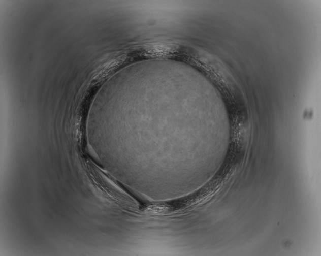 X0000098220599200805011236