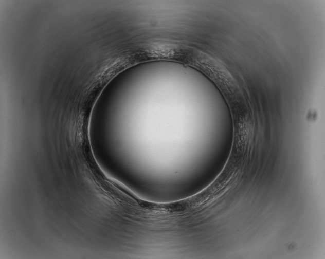 X0000098220600200805011236