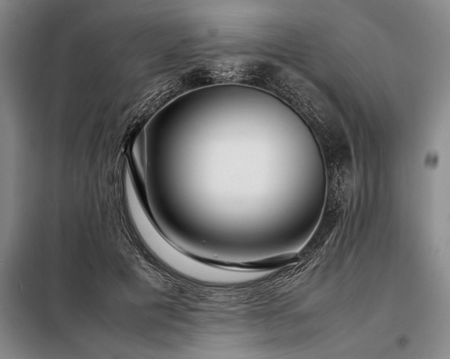 X0000098220601200805011236