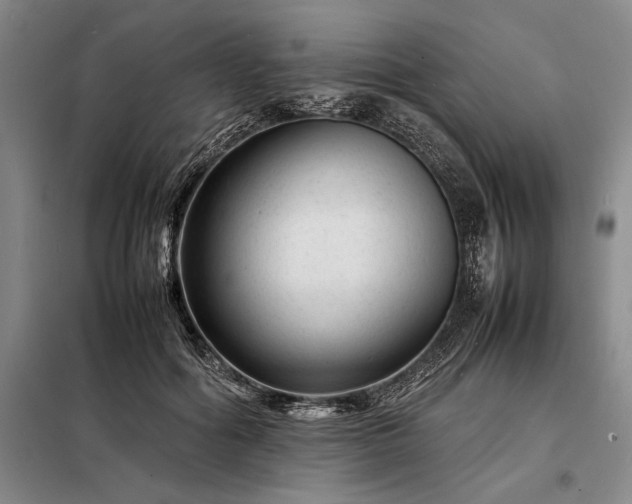 X0000098220602200805011236