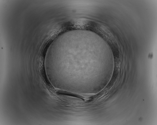 X0000098220603200805011236