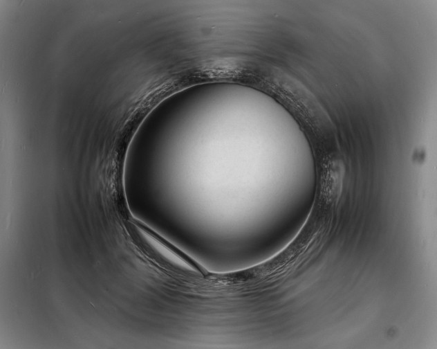 X0000098220604200805011236