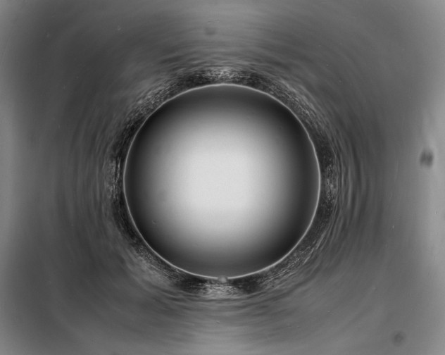 X0000098220605200805011236