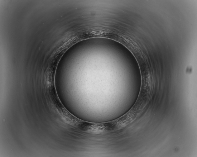 X0000098220606200805011236