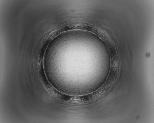 X0000098220607200805011236