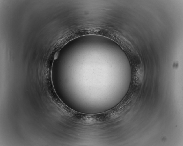 X0000098220608200805011236