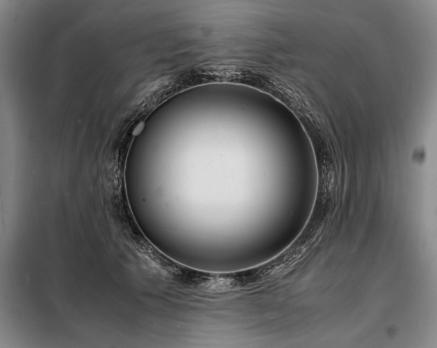 X0000098220609200805011236