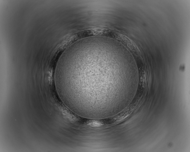 X0000098220610200805011236