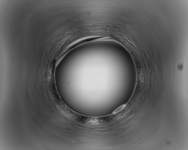 X0000098220611200805011236