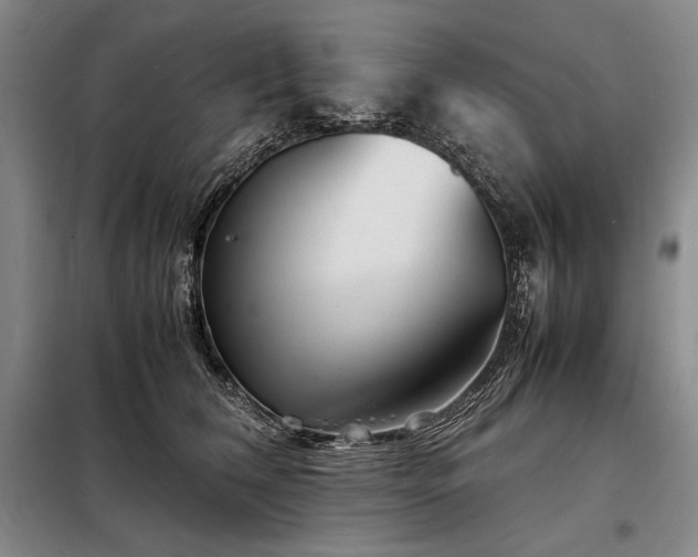 X0000098220612200805011236