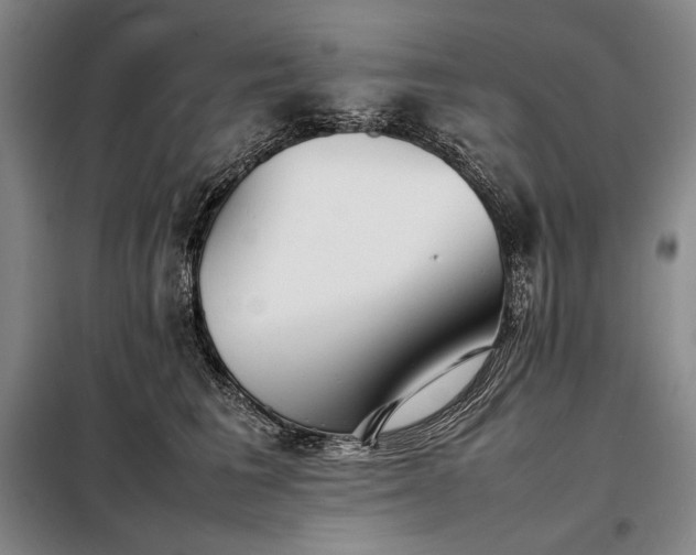 X0000098220613200805011236