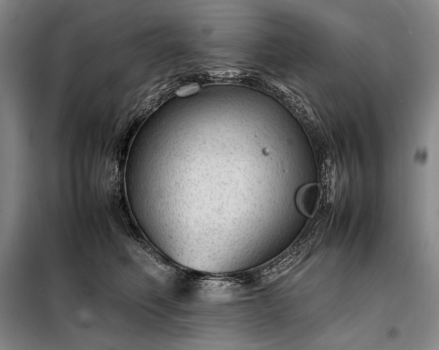 X0000098220614200805011236