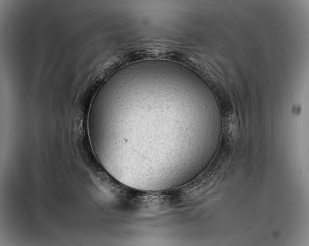 X0000098220615200805011236