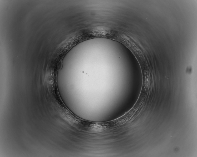 X0000098220616200805011236