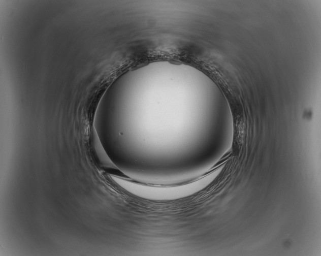 X0000098220617200805011236