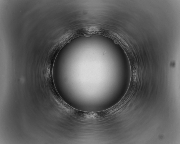 X0000098220618200805011236