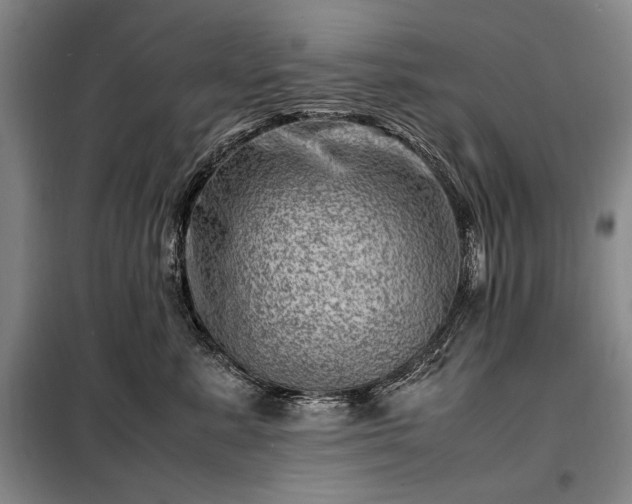 X0000098220619200805011236