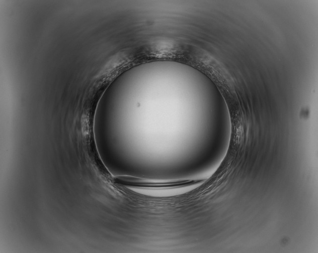 X0000098220620200805011236