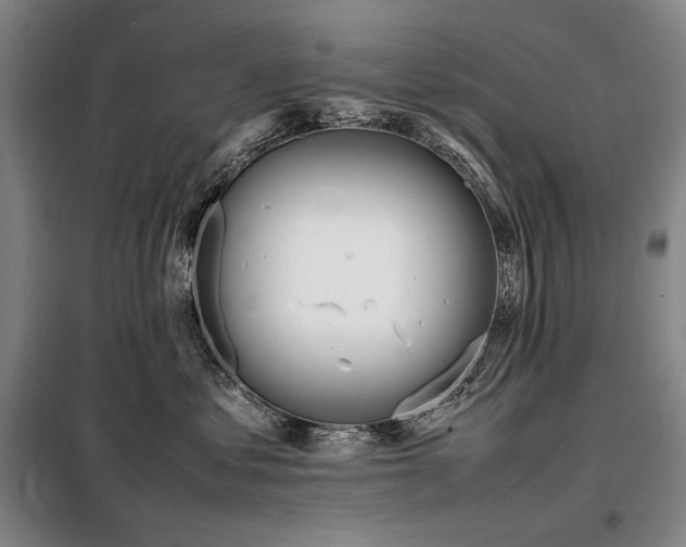 X0000098220621200805011236