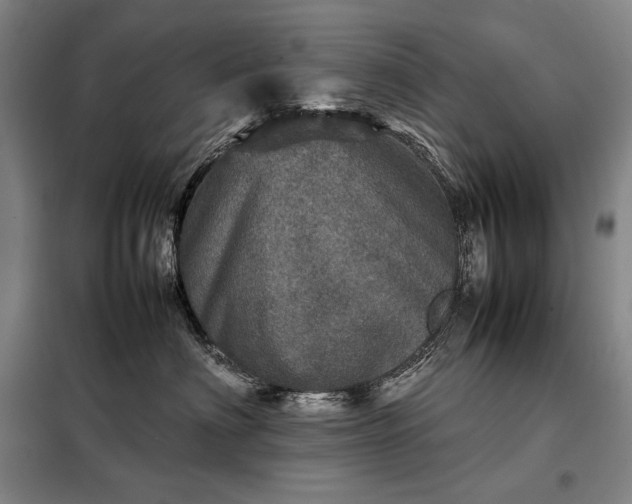 X0000098220622200805011236