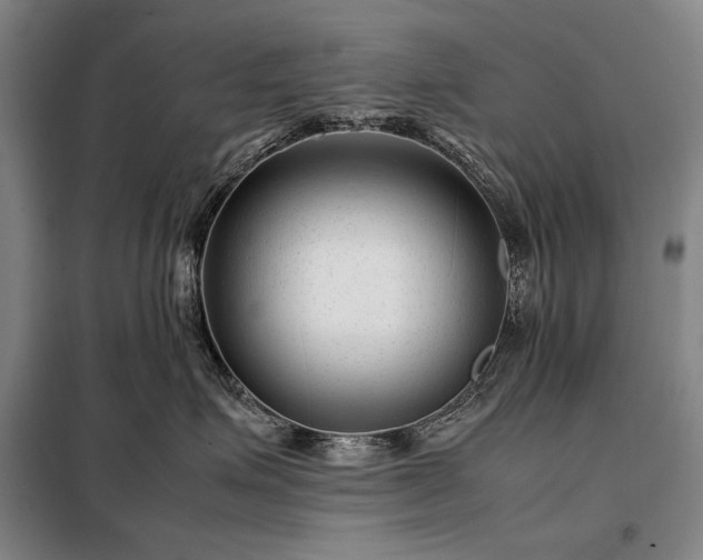 X0000098220623200805011236