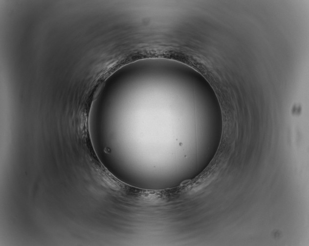 X0000098220624200805011236