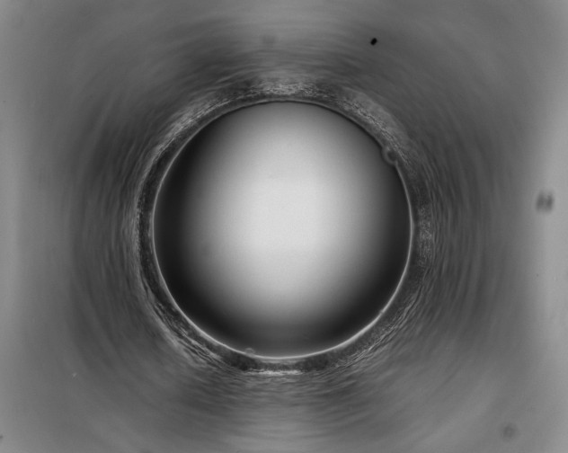 X0000098220626200805011235