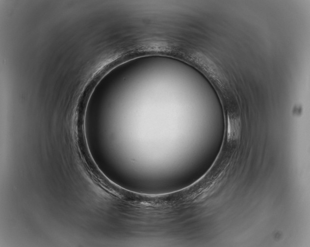 X0000098220627200805011235