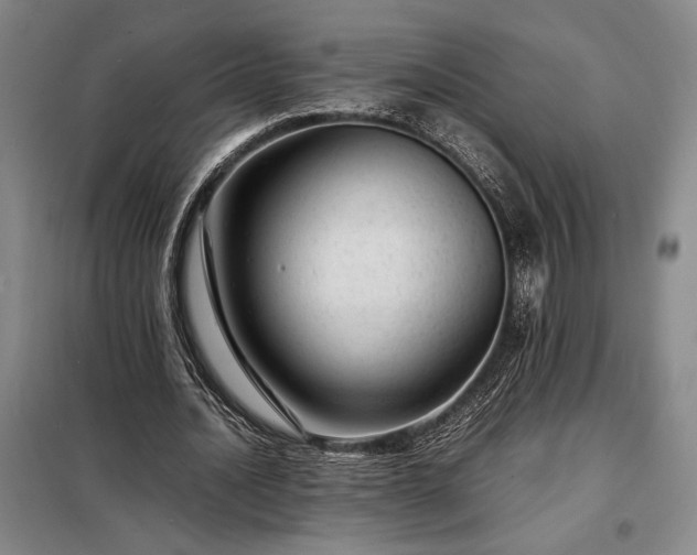 X0000098220628200805011235