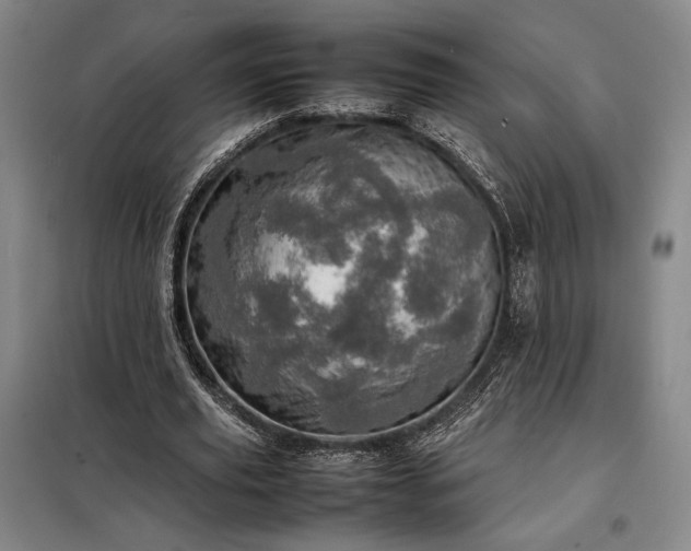 X0000098220629200805011235