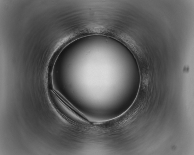 X0000098220630200805011235