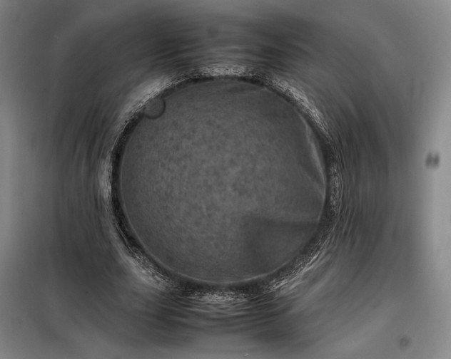 X0000098220631200805011235