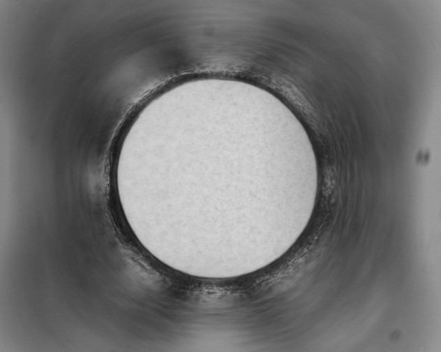 X0000098220632200805011235