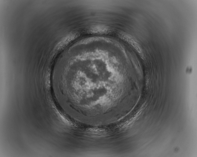 X0000098220633200805011235