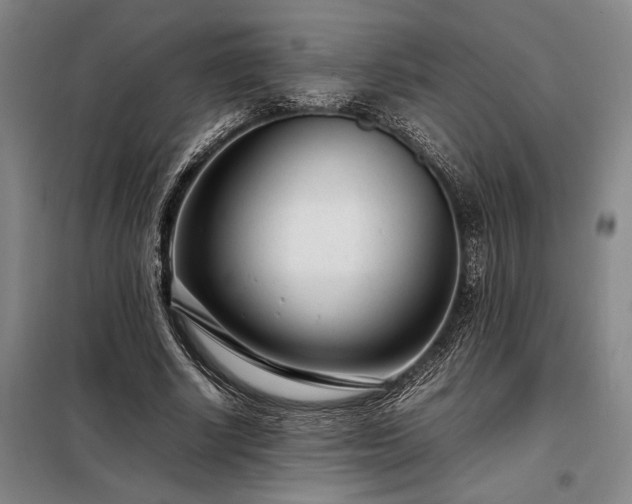 X0000098220634200805011235